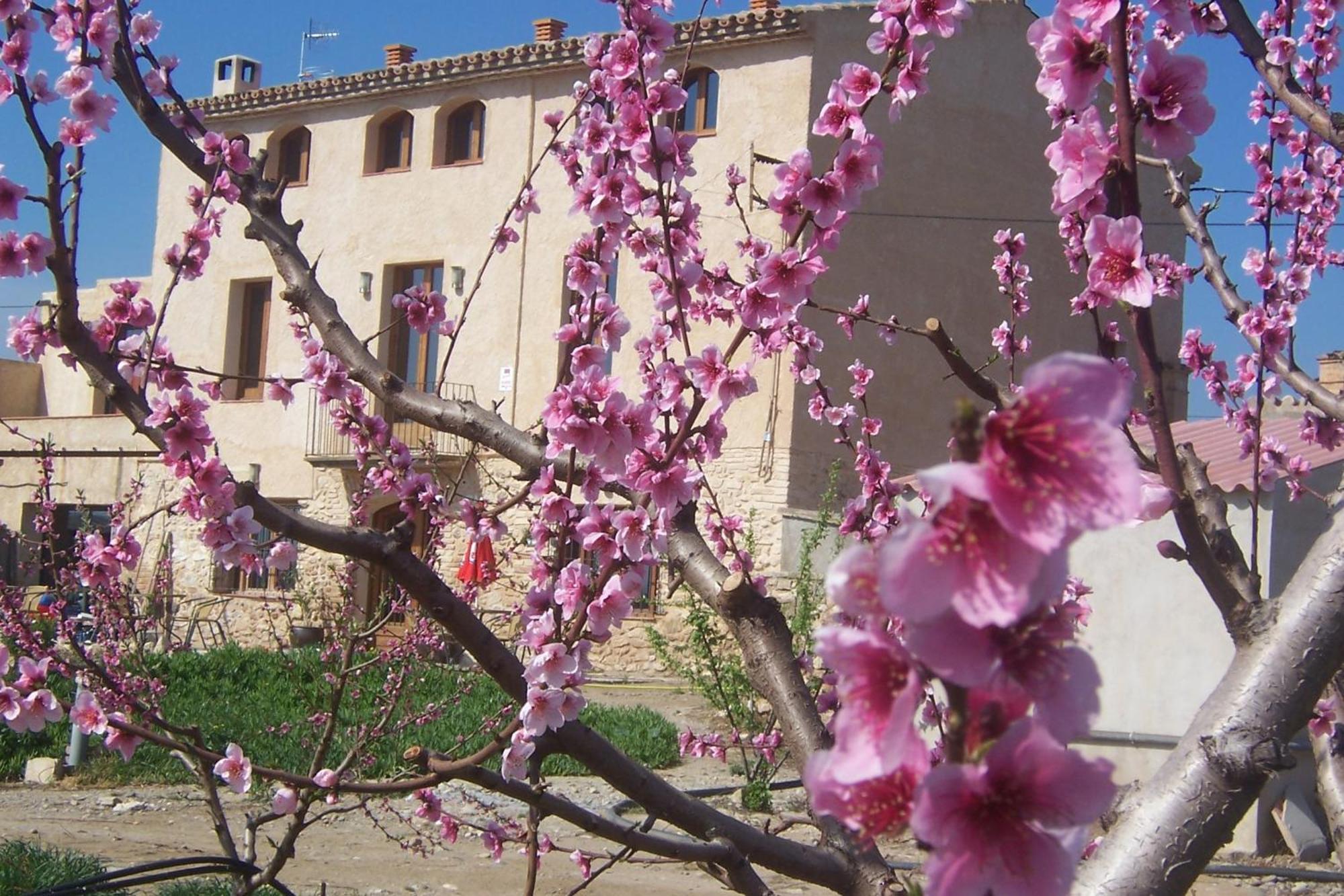 בניסאנט Mas Taniet Hotel Rural מראה חיצוני תמונה