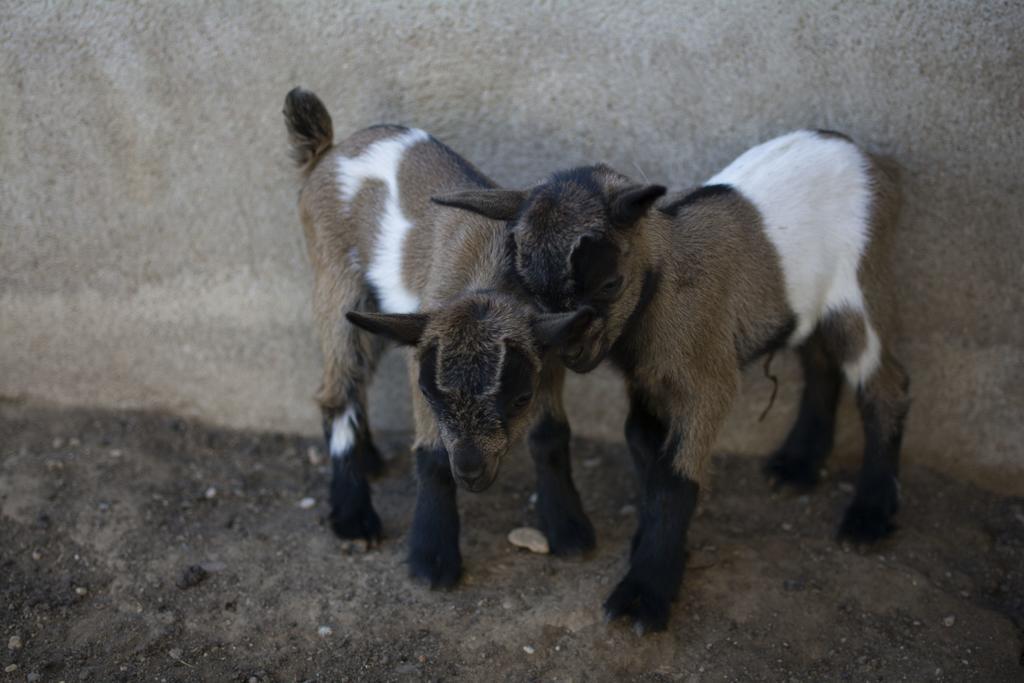 בניסאנט Mas Taniet Hotel Rural מראה חיצוני תמונה